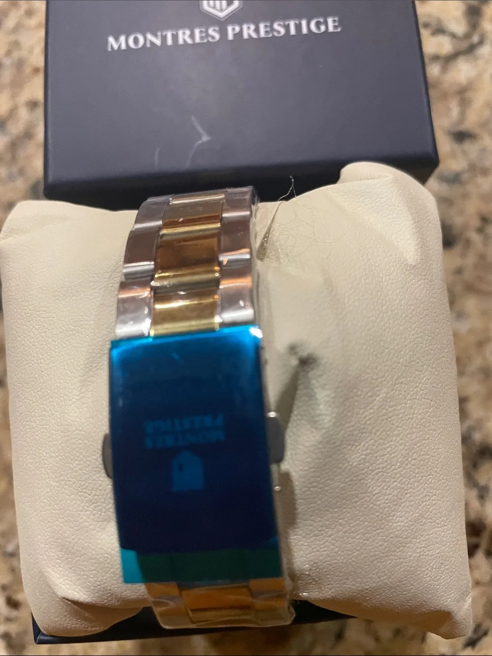 Men's Two-Tone Stainless Steel Watch
